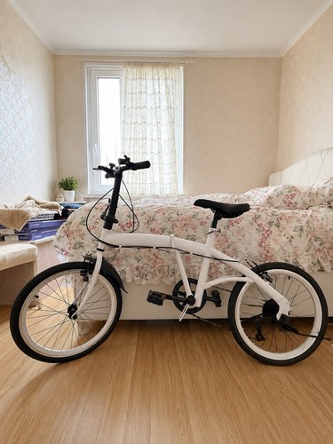 Folding bike 20in - bike,